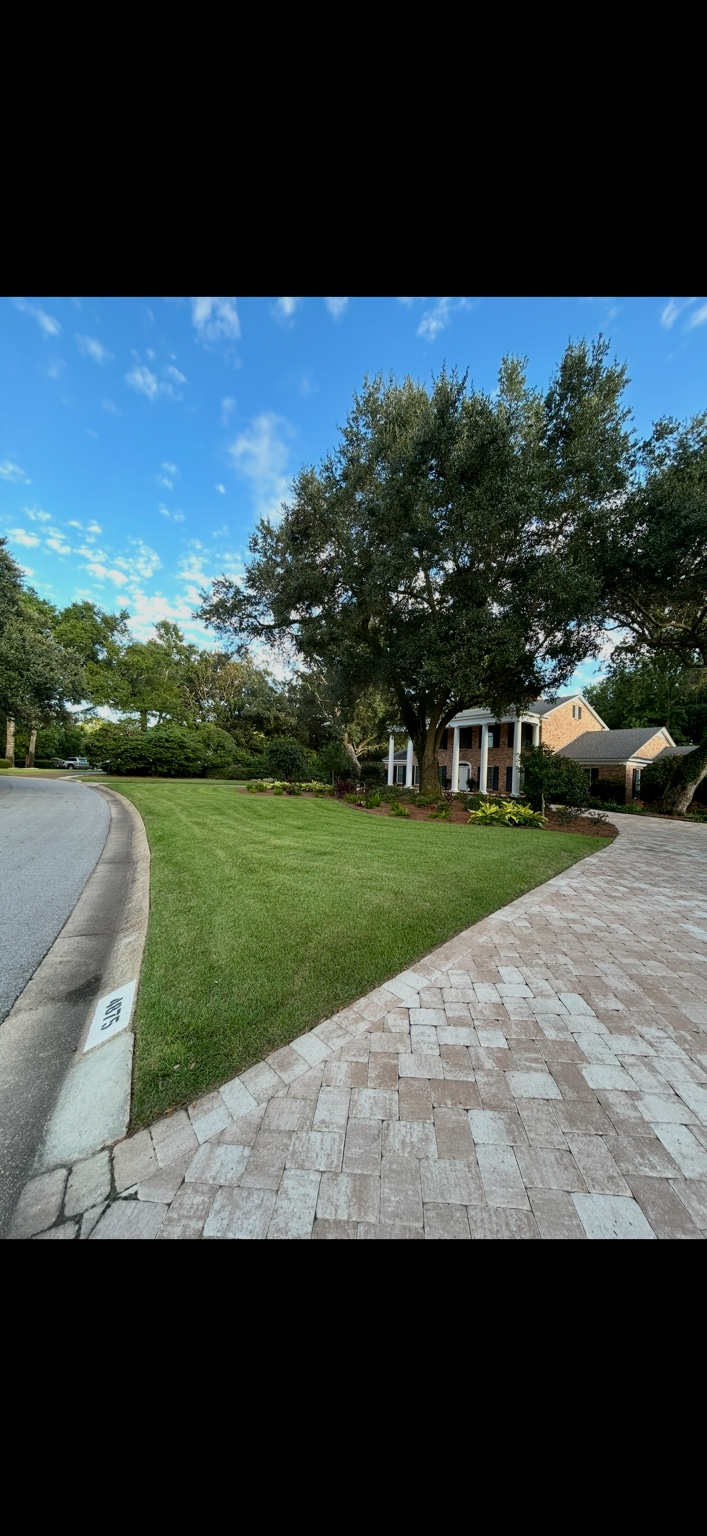 Maintained front lawn and mature trees beside a curved paver driveway