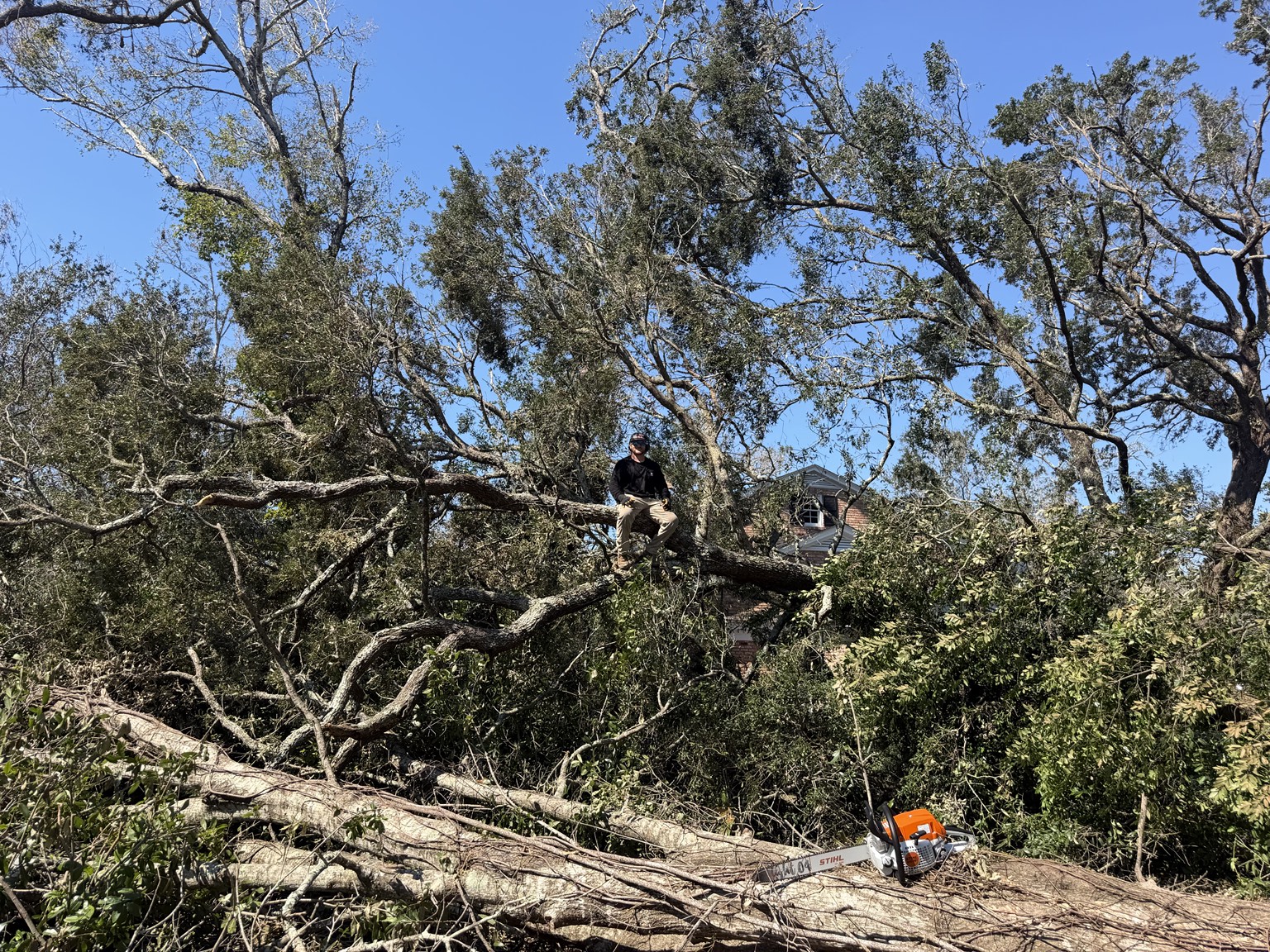 Team member among large fallen tree limbs at a residential property