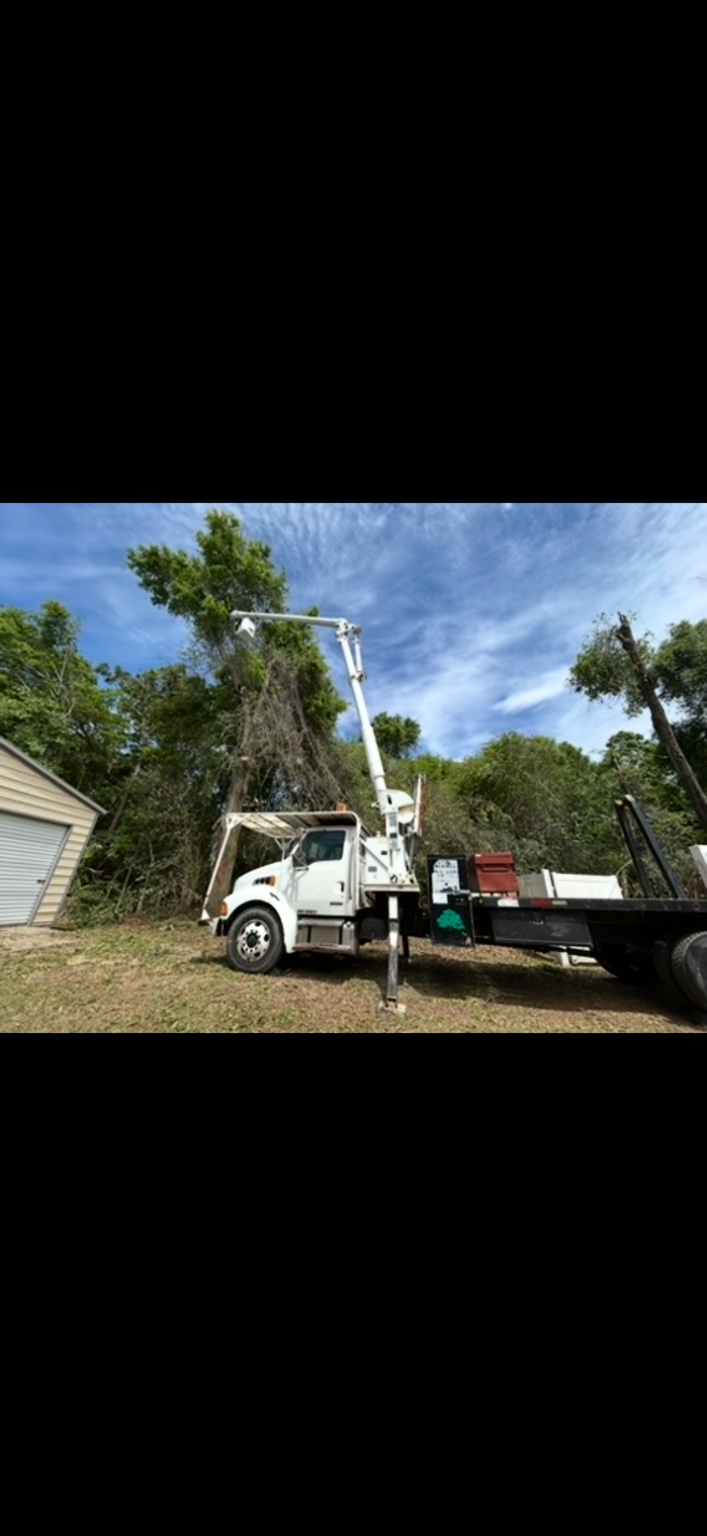 Bucket truck with its boom raised beside a tree at a residential property