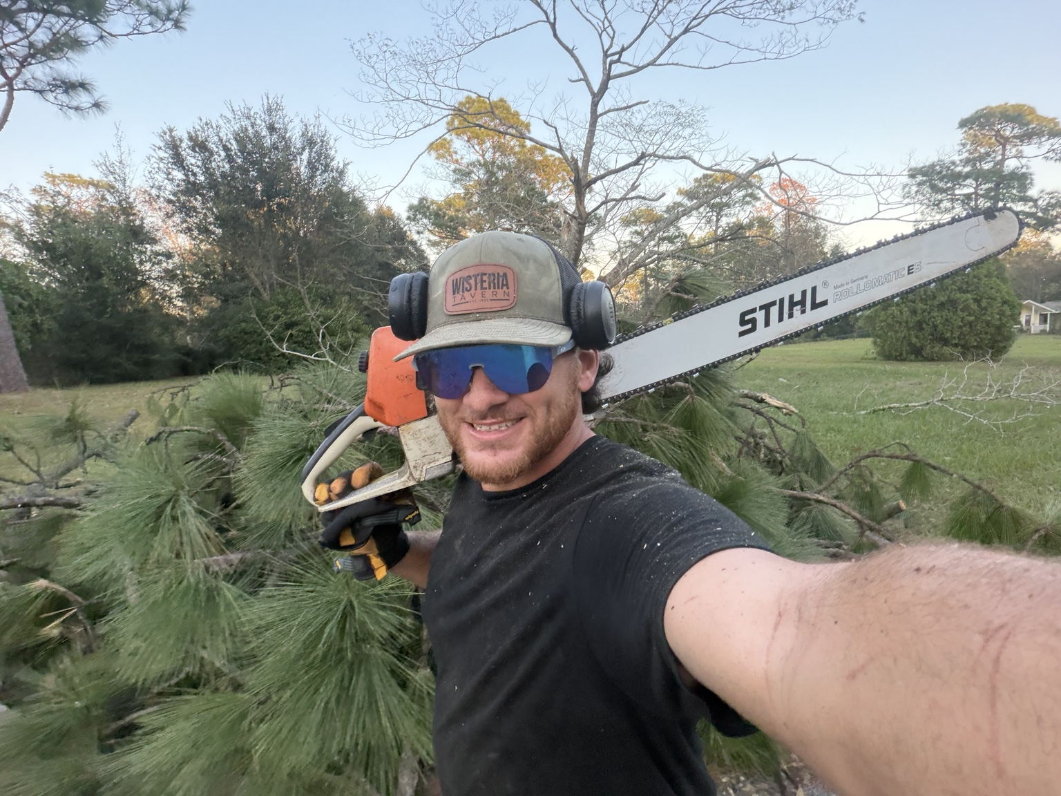 Team member with a chainsaw beside cut pine branches