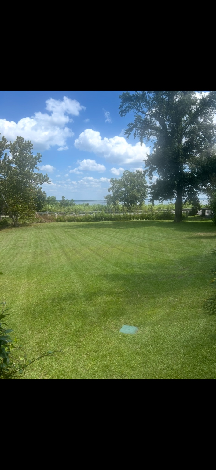 Freshly mowed waterfront lawn with trees and a view of the water